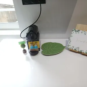 https://appart-cosy-brest-les-4-moulins.inbrittany.com